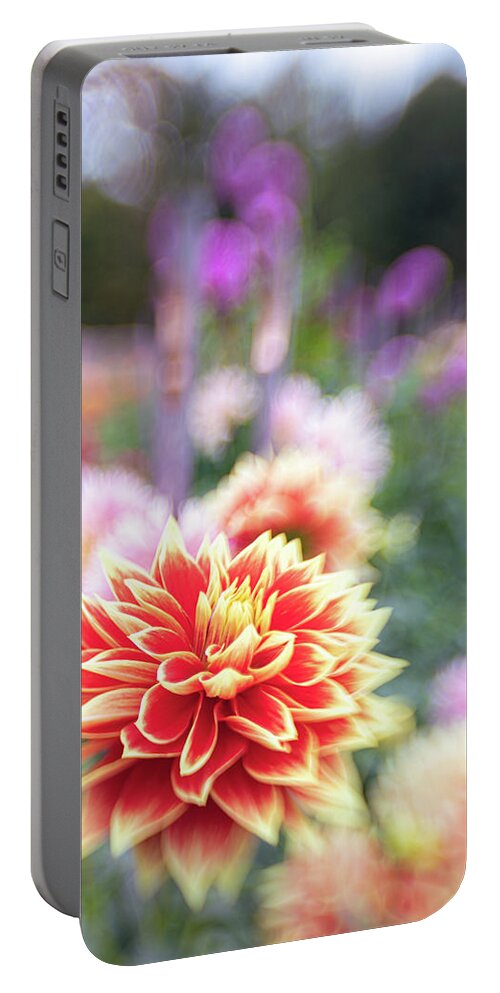 Dahlia Floral Flora Flower Botanic Botanical Botany Bokeh Portable Battery Charger featuring the photograph Dahlia Dream 2 by Brian Hale
