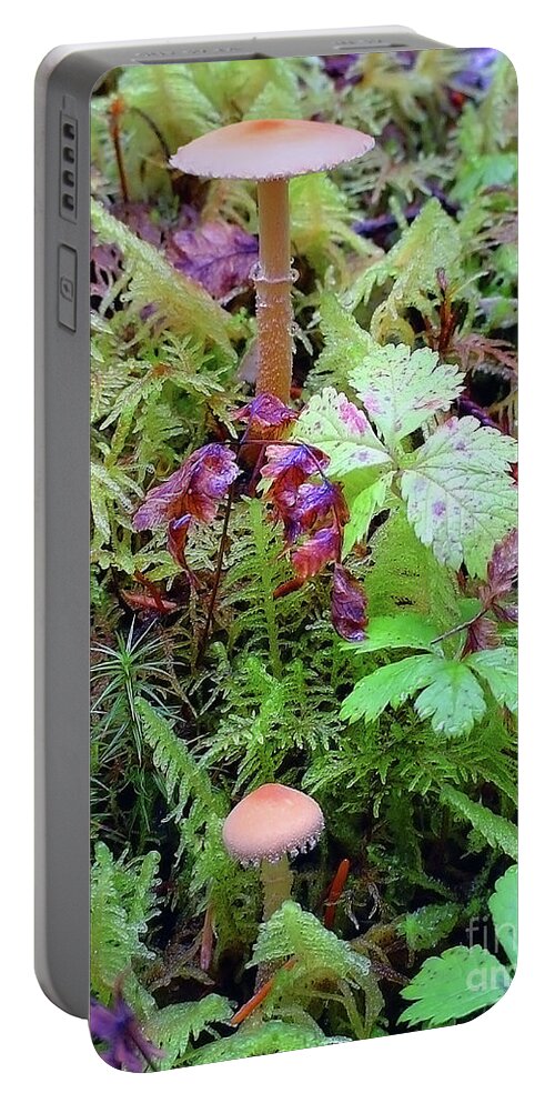 Close Up Portable Battery Charger featuring the photograph Dainty mushrooms dense moss by Robert C Paulson Jr