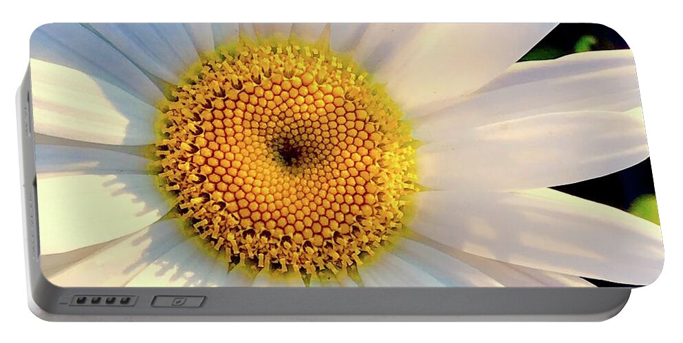 Flower Portable Battery Charger featuring the photograph Daisy by Alida M Haslett