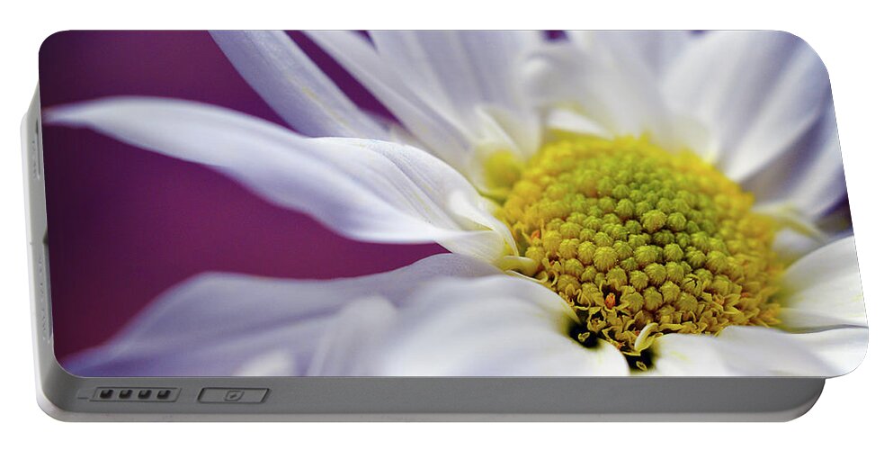 White Daisy Flower Portable Battery Charger featuring the photograph Daisy Mine by Michelle Wermuth