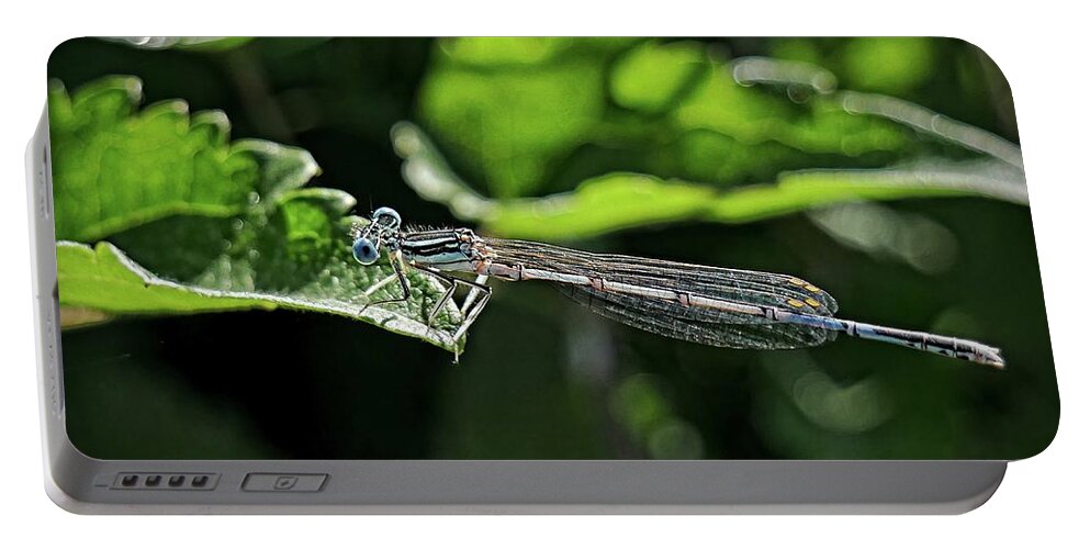 Blue Damsel Fly Portable Battery Charger featuring the photograph Damsel fly by Martin Smith