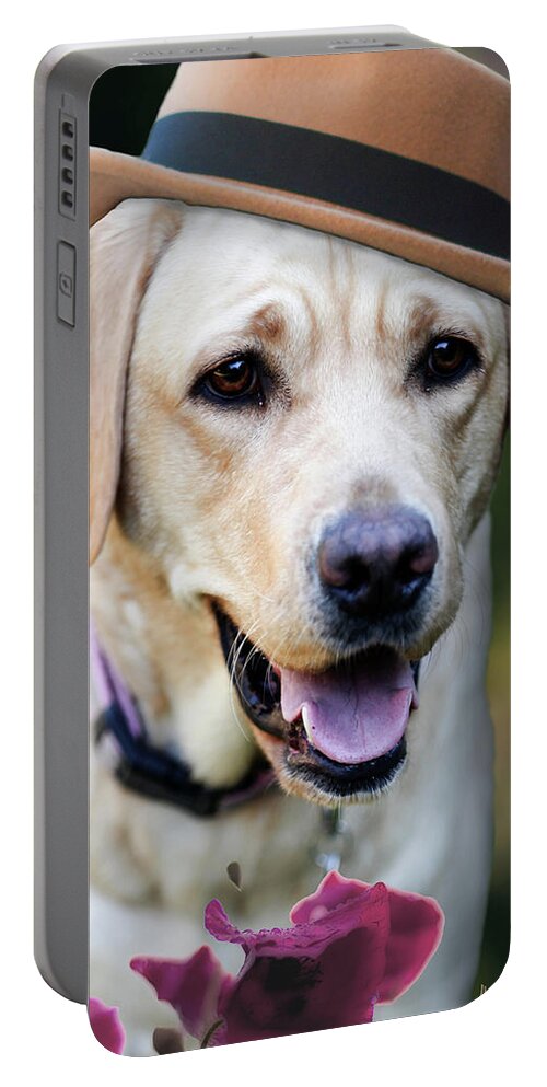 Dapper Portable Battery Charger featuring the photograph Dapper Dog by Susan Bryant