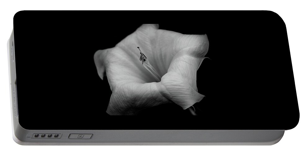 Datura Portable Battery Charger featuring the photograph Datura in black and white by Alessandra RC