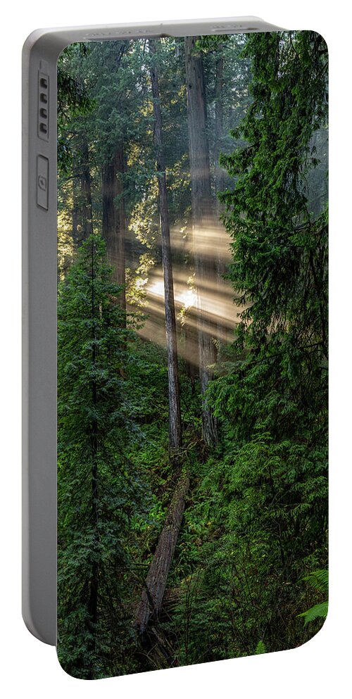 America Portable Battery Charger featuring the photograph Daybreak in Jedediah Smith Redwoods State Park by ProPeak Photography