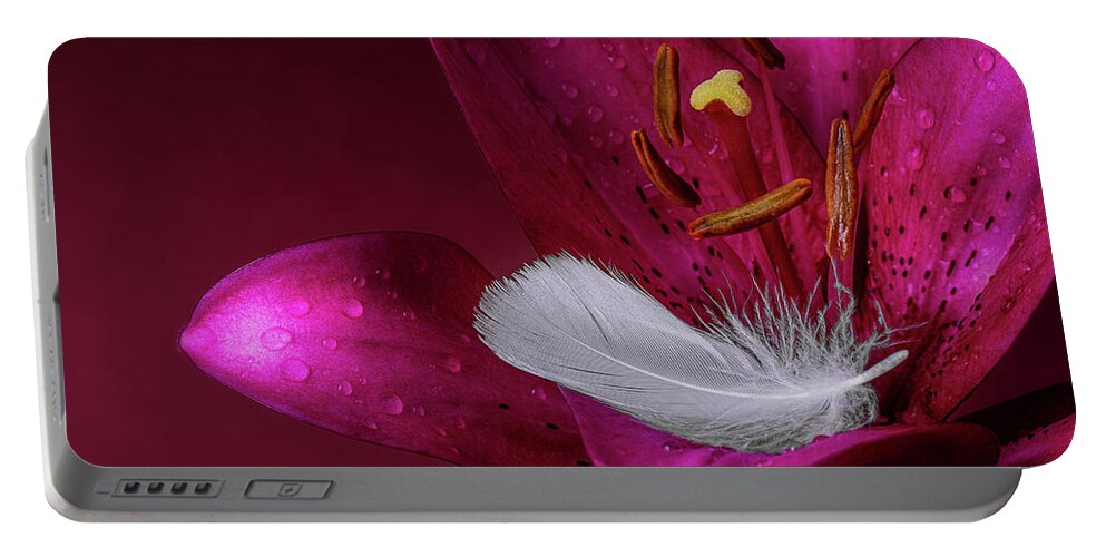 Closeup Portable Battery Charger featuring the photograph Daylily with Feather by Tom Mc Nemar