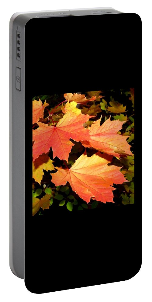 Maple Portable Battery Charger featuring the digital art Days Of Autumn 21 by Will Borden