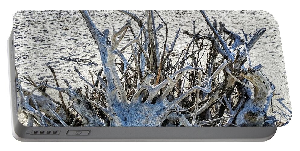 Landscape Portable Battery Charger featuring the photograph Deep Roots by Portia Olaughlin