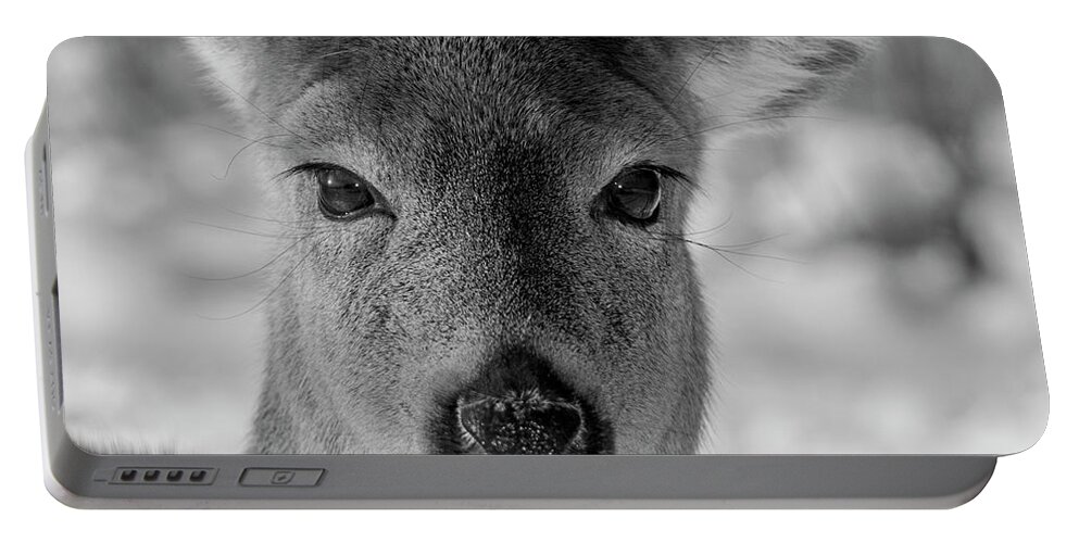 Nature Portable Battery Charger featuring the photograph Deer in Black White by Cathy Kovarik