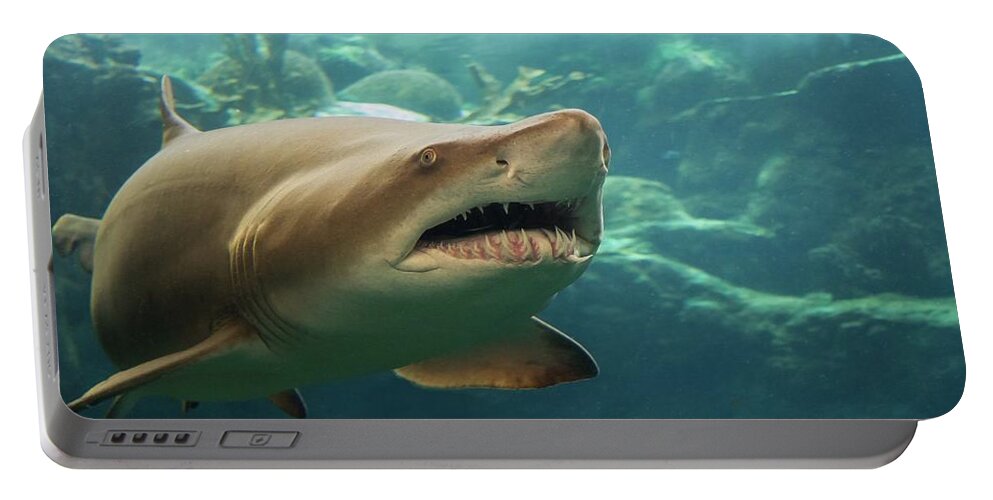 Shark Portable Battery Charger featuring the photograph Denizen Of The Deep by Larry Linton