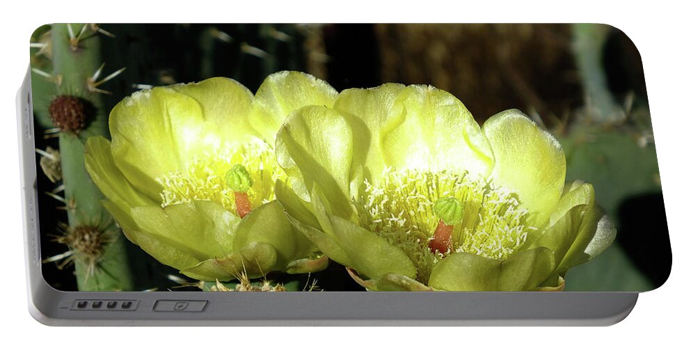 Cactus Flower Portable Battery Charger featuring the digital art Desert Bloom by Yenni Harrison