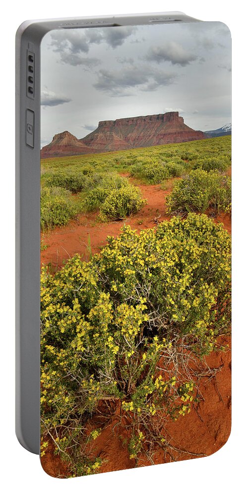 Moab Portable Battery Charger featuring the photograph Desert Blooming in Castle Valley Utah by Ray Mathis
