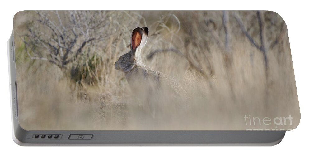 Desert Rabbit Portable Battery Charger featuring the photograph Desert Bunny by Robert WK Clark