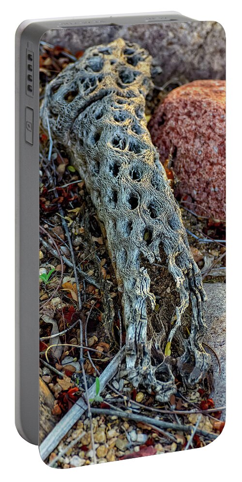 Sonoran Desert Portable Battery Charger featuring the photograph Desert Decay v1809 by Mark Myhaver