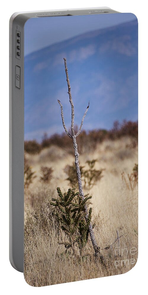 New Mexico Desert Portable Battery Charger featuring the photograph Desert Trident by Robert WK Clark