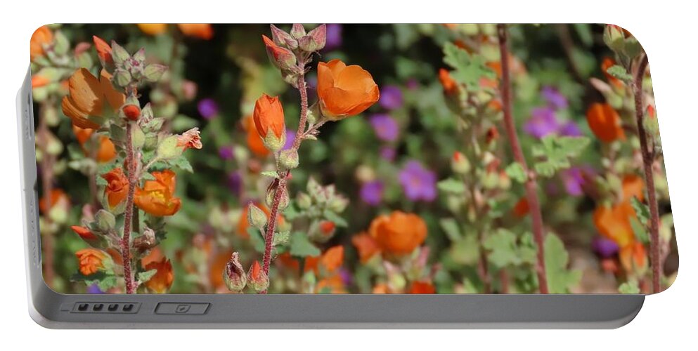 Arizona Portable Battery Charger featuring the photograph Desert Wildflowers by Judy Kennedy