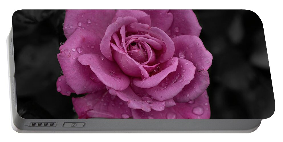 Pink Portable Battery Charger featuring the photograph Dew Drop Petals by Arthur Oleary