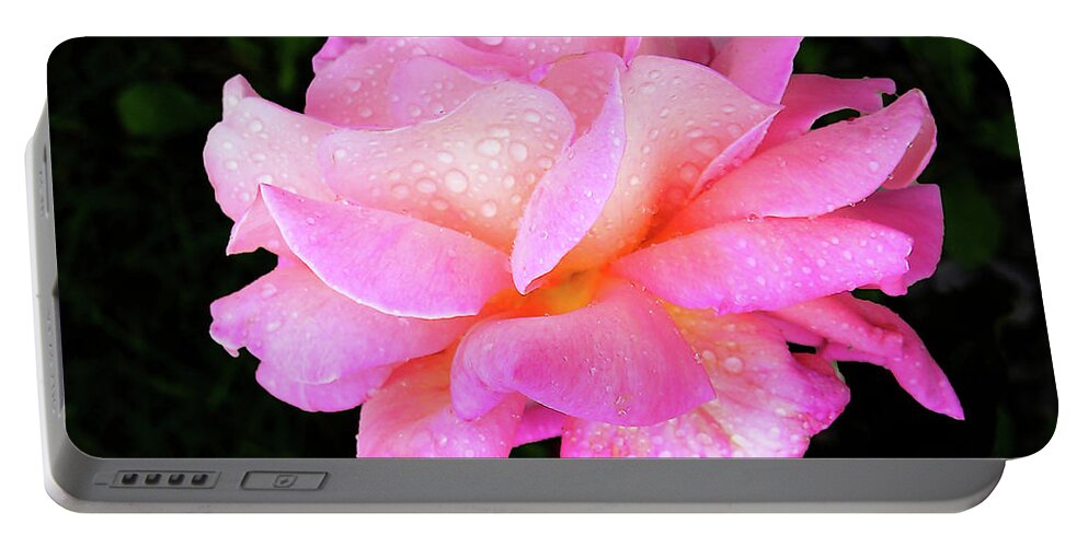 Flora Portable Battery Charger featuring the photograph Dewdrops on Roses... by Mariarosa Rockefeller