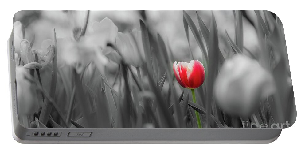 Flower Portable Battery Charger featuring the photograph Different by Dheeraj Mutha