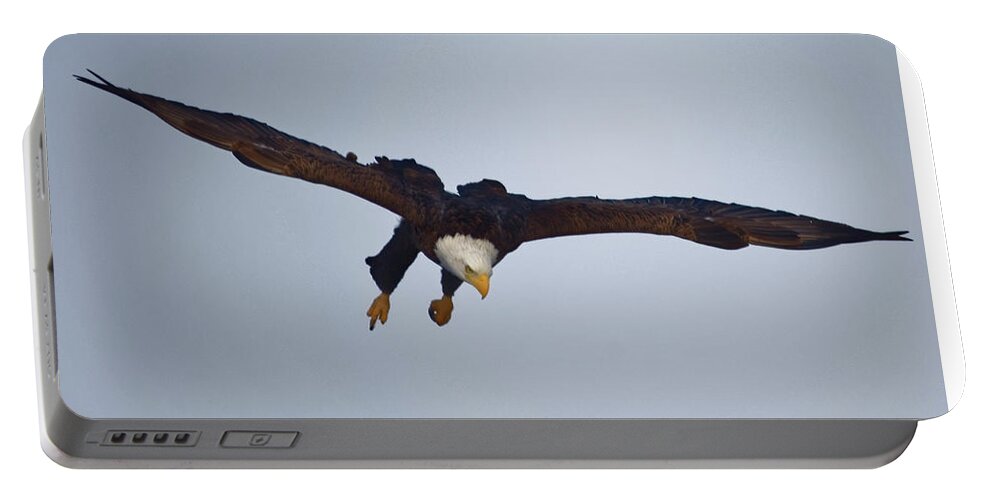 Eagle Portable Battery Charger featuring the photograph Dive by Peter Ponzio