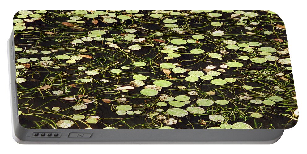 Landscape Portable Battery Charger featuring the photograph Dnrs1007 by Henry Butz