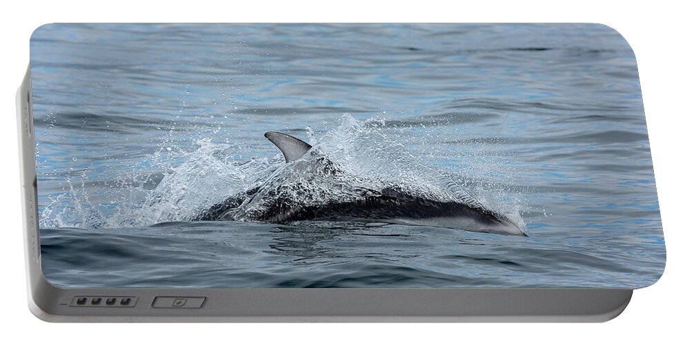 White Portable Battery Charger featuring the photograph Dolphin by Canadart -