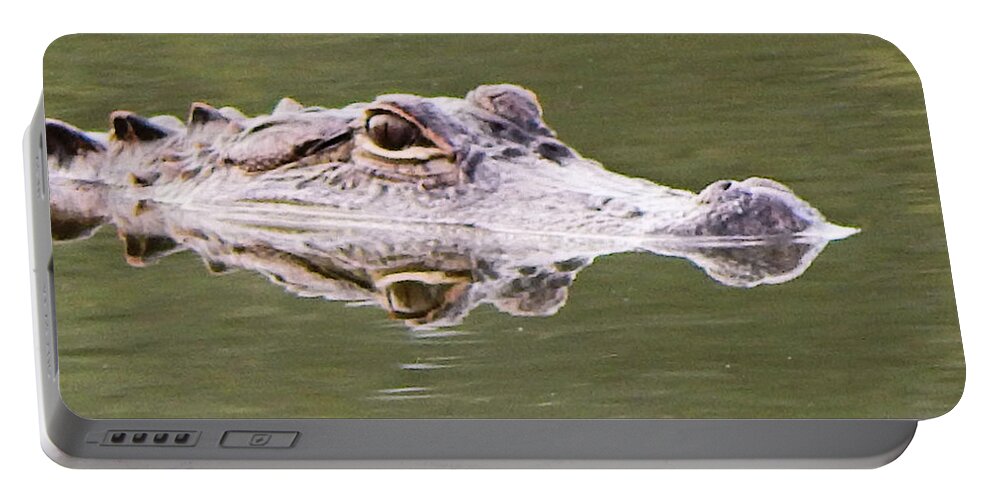 Animals Portable Battery Charger featuring the photograph Double Trouble by Karen Stansberry