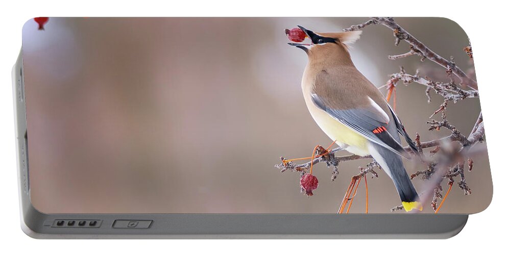 Bird Portable Battery Charger featuring the photograph Down the Hatch by Peg Runyan