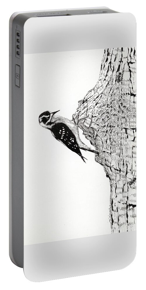 Wildlife Portable Battery Charger featuring the drawing Downy Woodpecker by Timothy Livingston