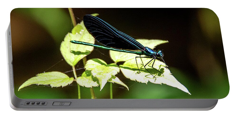 Green Portable Battery Charger featuring the photograph Dragon Fly Iridescence by Marcy Wielfaert