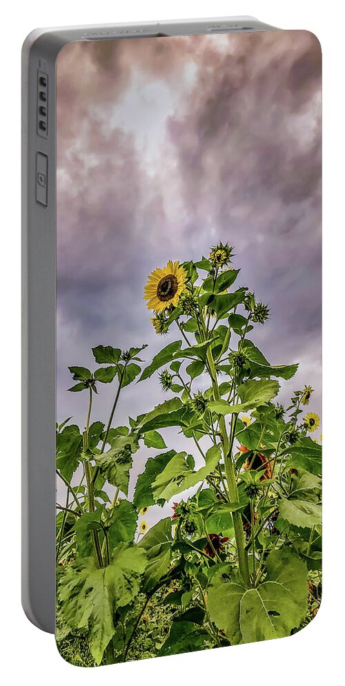 Sunflower Portable Battery Charger featuring the photograph Dramatic Sunflower by Anamar Pictures