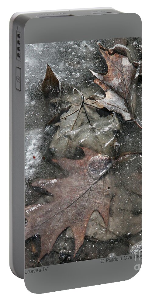 Leaf Portable Battery Charger featuring the photograph Dreamy Leaves-IV by Patricia Overmoyer
