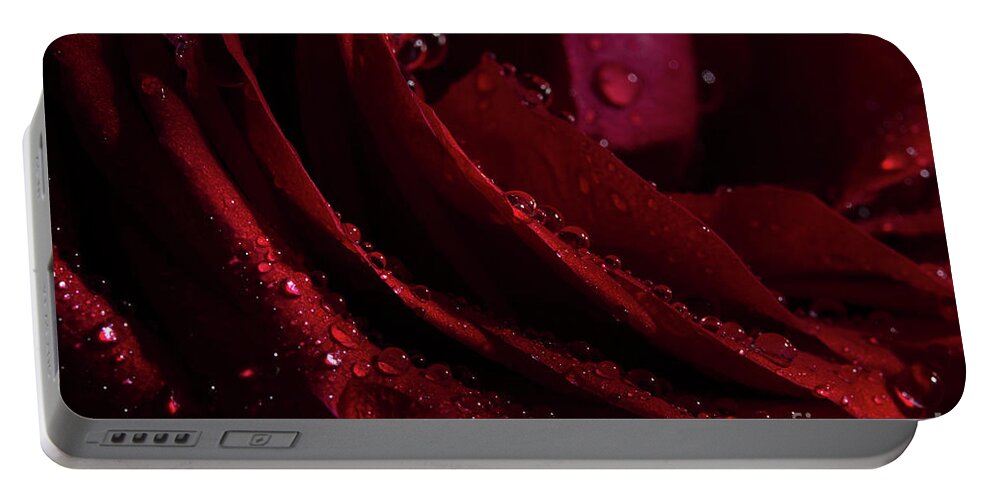 Rose Portable Battery Charger featuring the photograph Droplets On The Edge by Mike Eingle