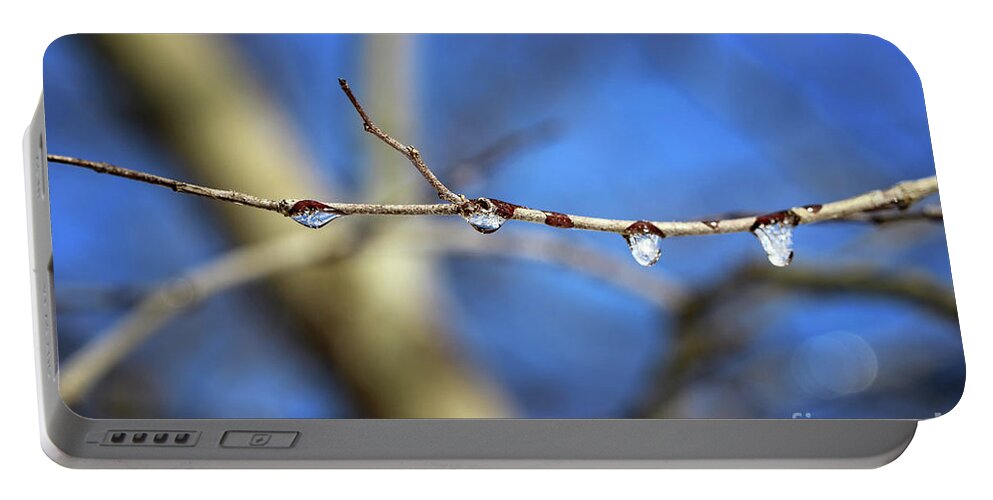 Winter Portable Battery Charger featuring the photograph Drops on a Redbud by Karen Adams