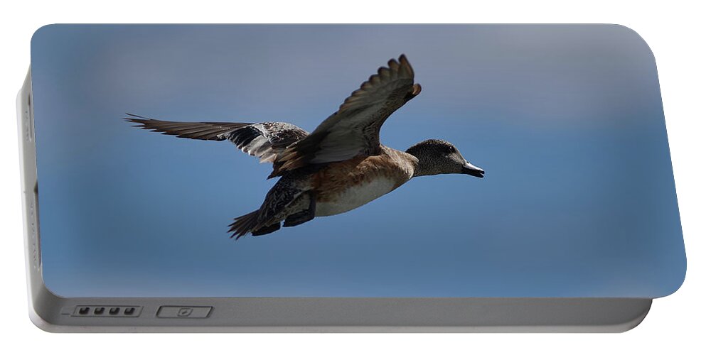Ducks Portable Battery Charger featuring the photograph Duck Blue Sky by Robert WK Clark
