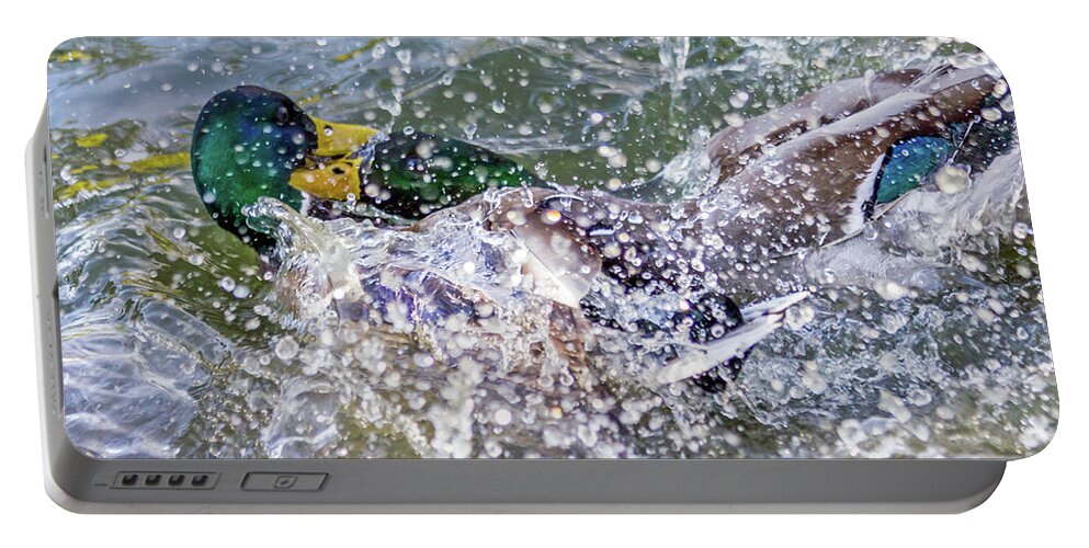 Mallards Portable Battery Charger featuring the photograph Duck Fight by Kate Brown