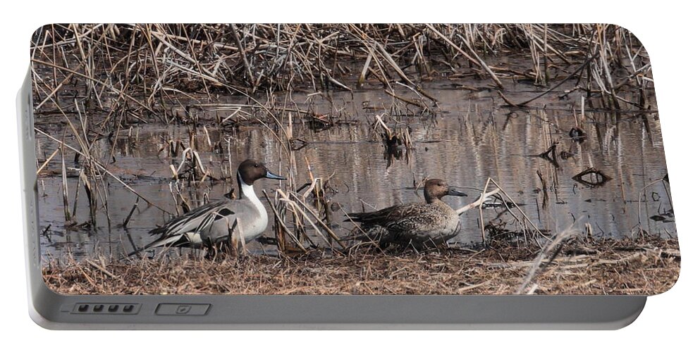 Ducks Portable Battery Charger featuring the photograph Ducks 6238 by John Moyer