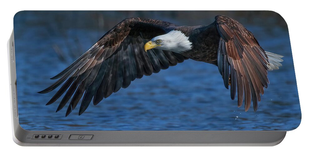 Bald Eagle Portable Battery Charger featuring the photograph Eagle On Blue by Beth Sargent