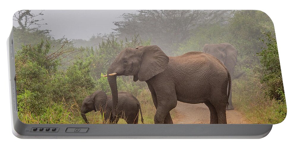 Hluhluwe-imfolozi Park Portable Battery Charger featuring the photograph Early Morning Elephants by Marcy Wielfaert