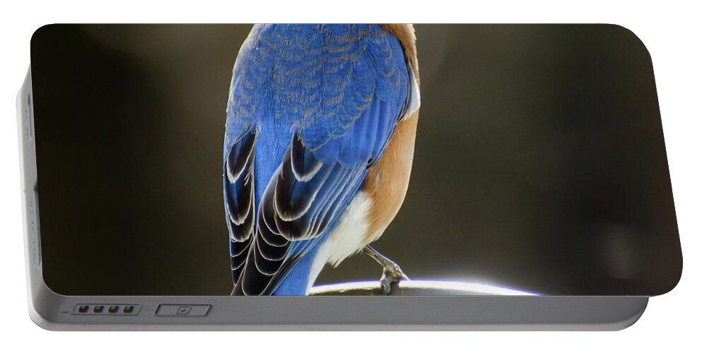 Eastern Bluebird Portable Battery Charger featuring the photograph Eastern Bluebird by Michael Frank