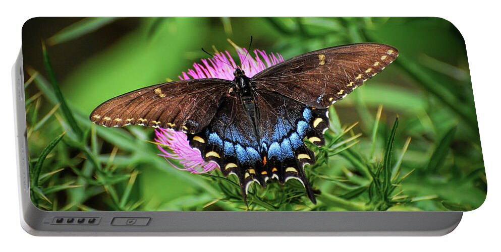 Butterfly Portable Battery Charger featuring the photograph Eastern Tiger Swallowtail - Dark Morph by Kerri Farley