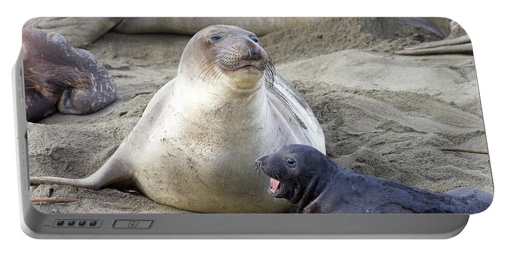 Elephant Seal Mom and Baby Portable Battery Charger by Sheila Fitzgerald -  Pixels