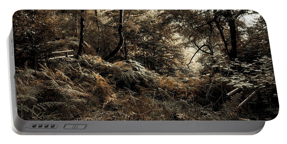 Jenny Rainbow Fine Art Photography Portable Battery Charger featuring the photograph Enchanted Forest. Gothic by Jenny Rainbow