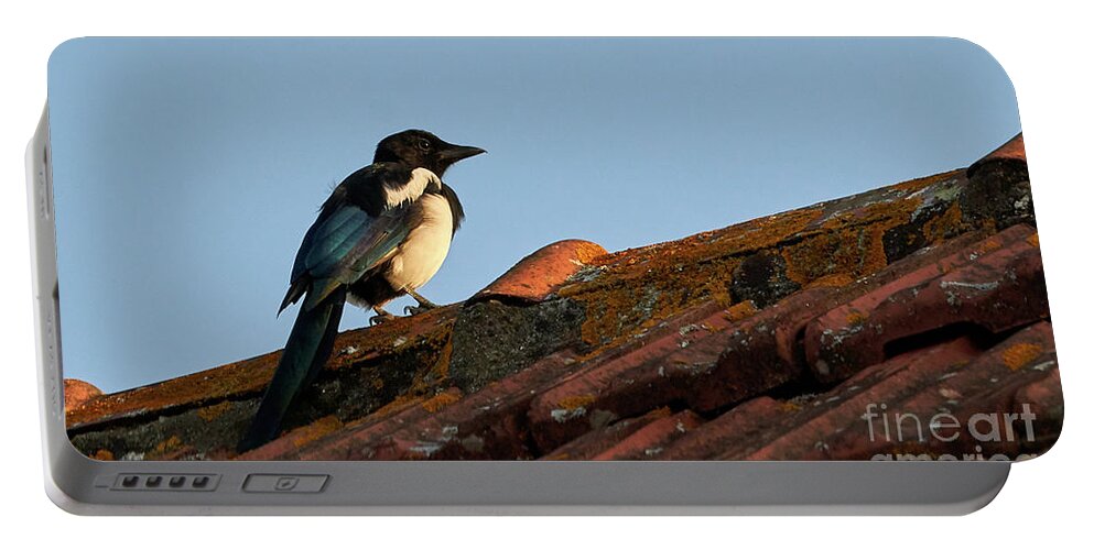 Colorful Portable Battery Charger featuring the photograph Eurasian Magpie Pica Pica on Tiled Roof by Pablo Avanzini