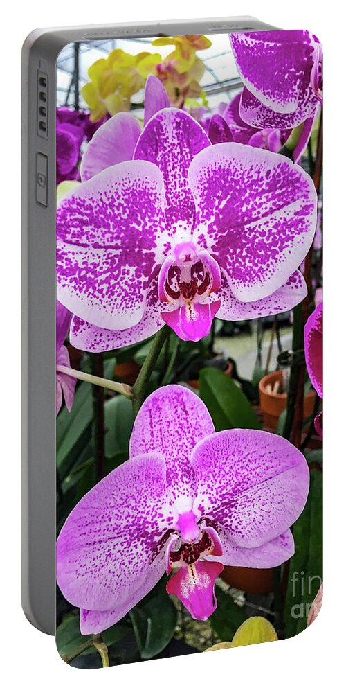 Orchid Flower Portable Battery Charger featuring the photograph Beautiful Exotic Orchid Artwork 02.jpg by Carlos Diaz