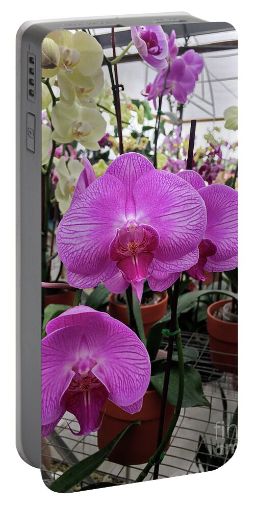 Orchid Flower Portable Battery Charger featuring the photograph Beautiful Exotic Orchid Artwork 09 by Carlos Diaz