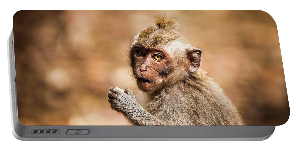 Monkey Portable Battery Charger featuring the photograph Eyes Open by Felipe Queriquelli