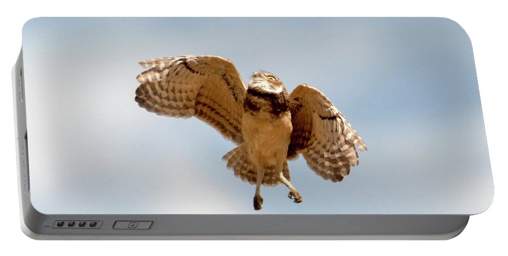 Burrowing Owl Portable Battery Charger featuring the photograph Eyes Up by Michael Dawson