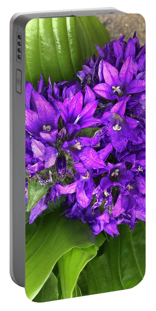Flowers Portable Battery Charger featuring the photograph F12019 by Dragan Kudjerski