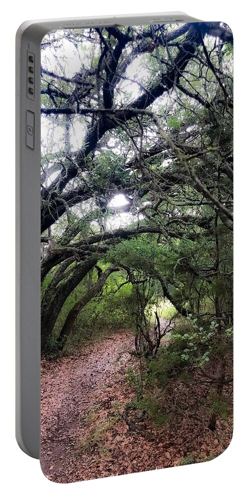 Landscape Portable Battery Charger featuring the photograph Fairytale Lane by Kelly Thackeray