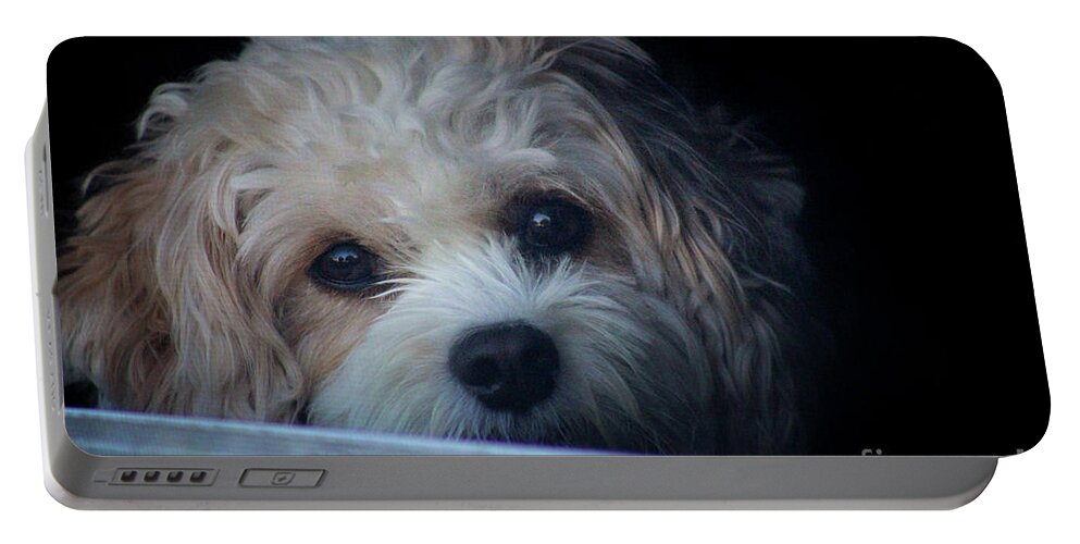 Puppy Portable Battery Charger featuring the photograph Faithfully Waiting by Karen Adams